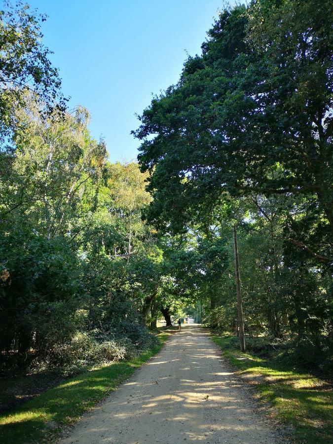 הוילה מילפורד און סי Pebble Bay Retreat מראה חיצוני תמונה