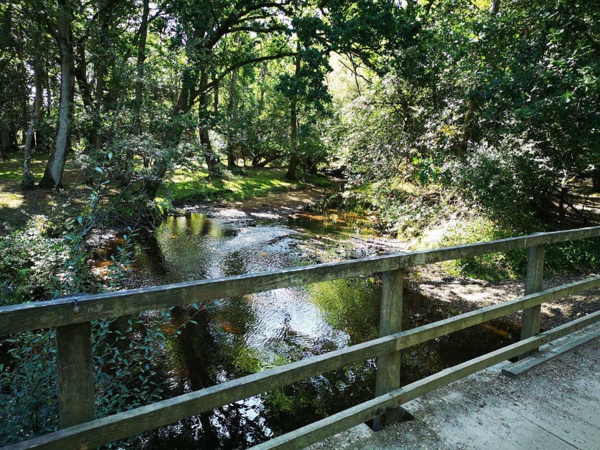 הוילה מילפורד און סי Pebble Bay Retreat מראה חיצוני תמונה